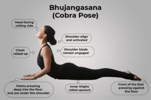 The Cobra Pose, or Bhujang asana