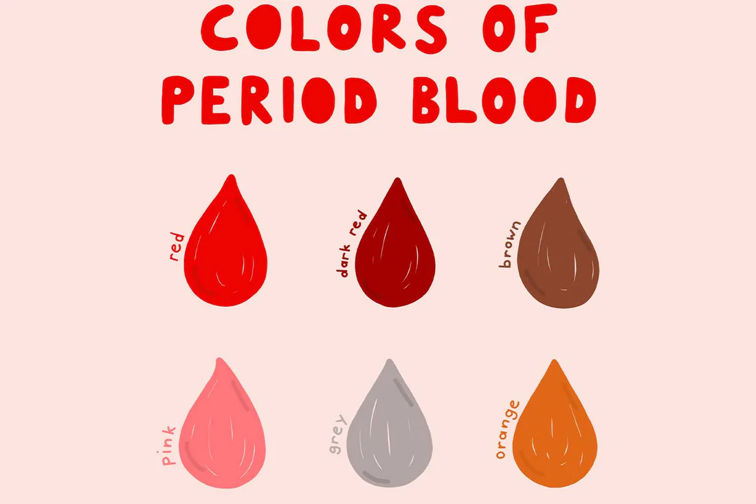 Colour and Significance of Periods: